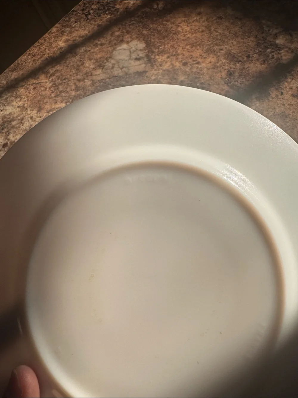 Vintage Arcopal Glenwood Plate-set of 3